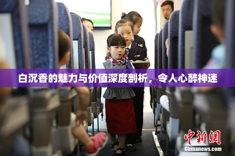 白沉香的魅力与价值深度剖析，令人心醉神迷