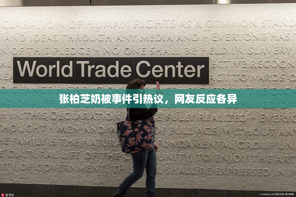 张柏芝奶被事件引热议，网友反应各异