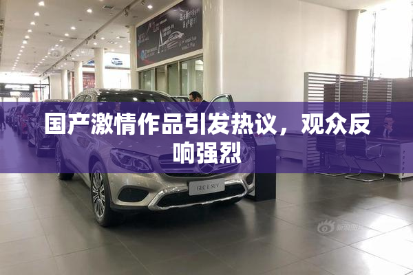 国产激情作品引发热议，观众反响强烈