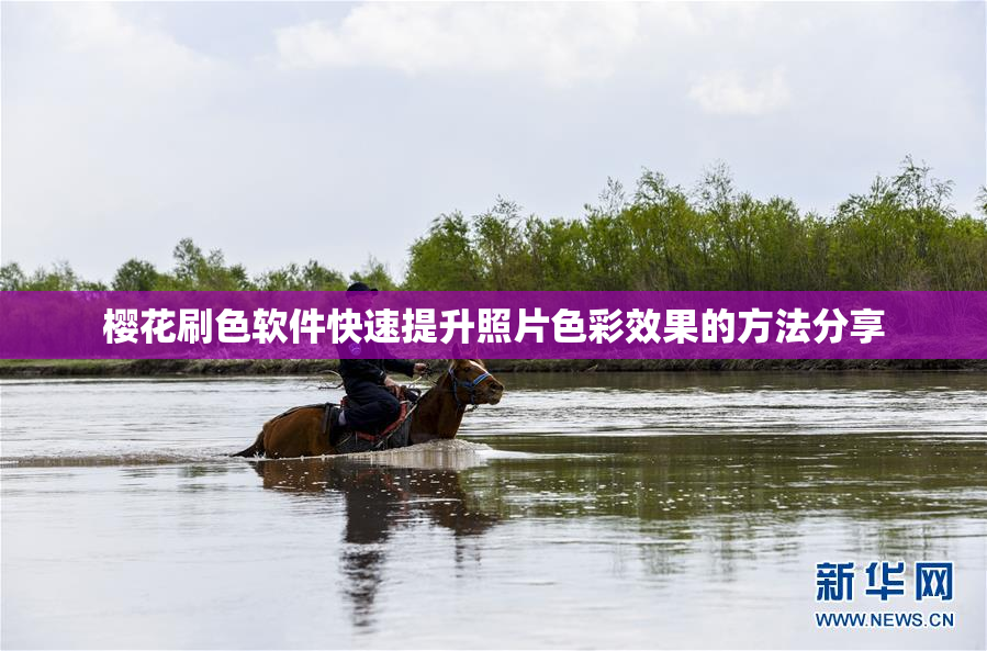 樱花刷色软件快速提升照片色彩效果的方法分享