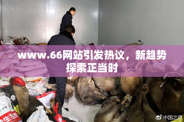 www.66网站引发热议，新趋势探索正当时