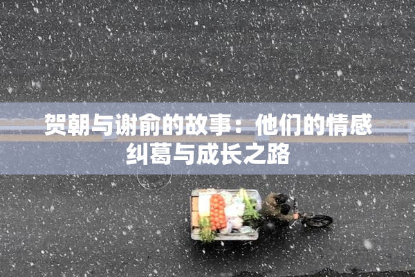 贺朝与谢俞的故事：他们的情感纠葛与成长之路