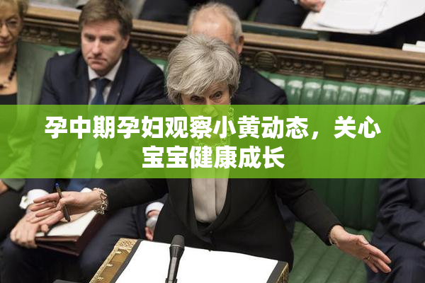 孕中期孕妇观察小黄动态，关心宝宝健康成长