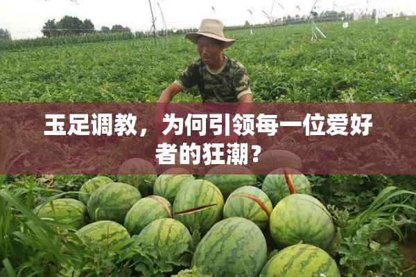 玉足调教，为何引领每一位爱好者的狂潮？