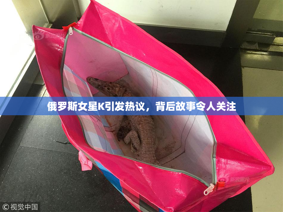 俄罗斯女星K引发热议，背后故事令人关注