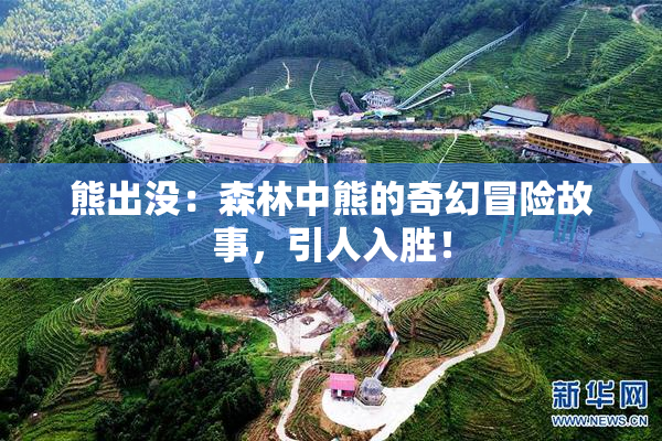 熊出没：森林中熊的奇幻冒险故事，引人入胜！