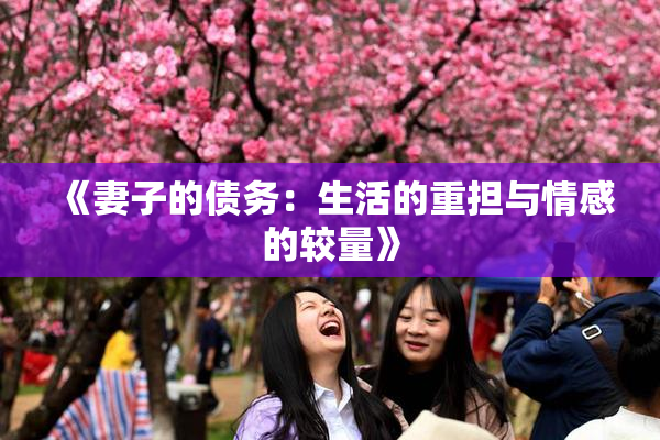 《妻子的债务：生活的重担与情感的较量》