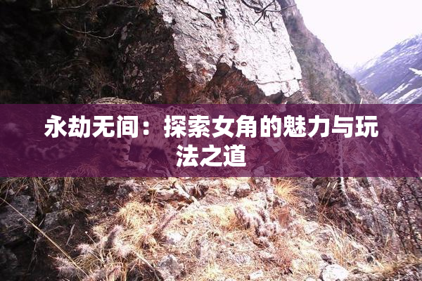 永劫无间：探索女角的魅力与玩法之道