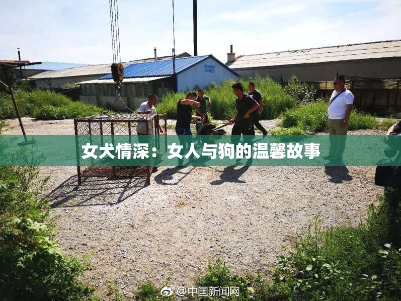 女犬情深：女人与狗的温馨故事