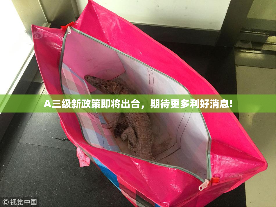 A三级新政策即将出台，期待更多利好消息!