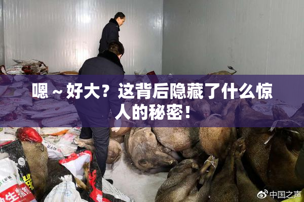 嗯～好大？这背后隐藏了什么惊人的秘密！