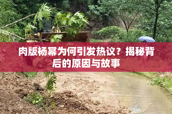 肉版杨幂为何引发热议？揭秘背后的原因与故事