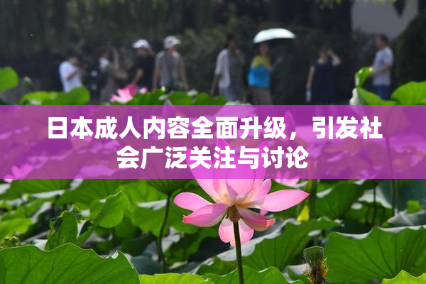 日本成人内容全面升级，引发社会广泛关注与讨论