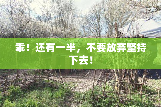乖！还有一半，不要放弃坚持下去！