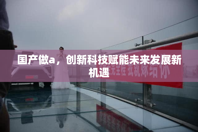国产做a，创新科技赋能未来发展新机遇