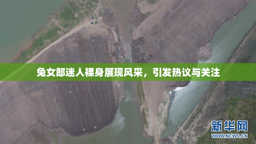 兔女郎迷人裸身展现风采，引发热议与关注