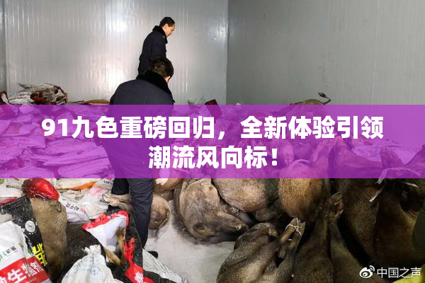 91九色重磅回归，全新体验引领潮流风向标！