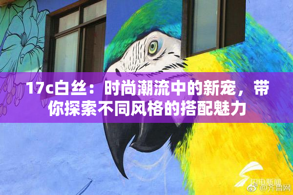 17c白丝：时尚潮流中的新宠，带你探索不同风格的搭配魅力