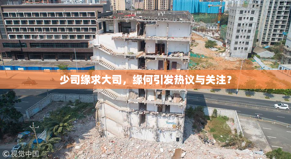 少司缘求大司，缘何引发热议与关注？