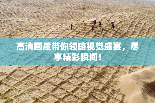 高清画质带你领略视觉盛宴，尽享精彩瞬间！