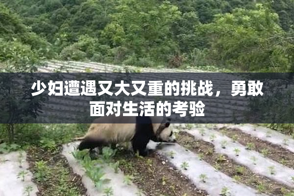 少妇遭遇又大又重的挑战，勇敢面对生活的考验