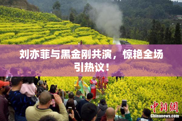 刘亦菲与黑金刚共演，惊艳全场引热议！