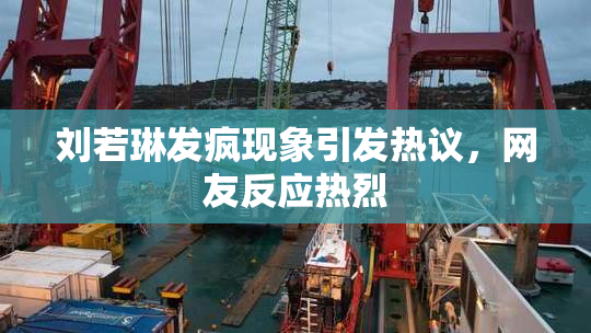 刘若琳发疯现象引发热议，网友反应热烈