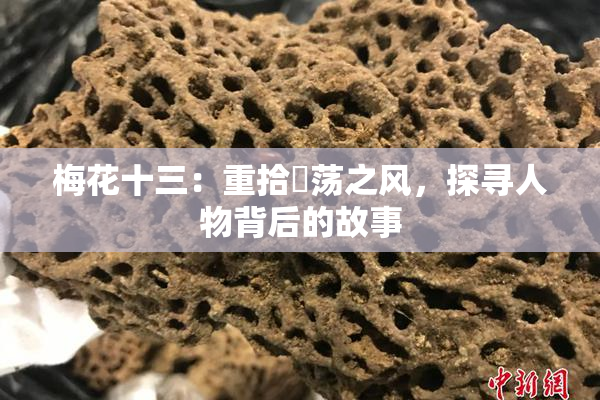 梅花十三：重拾婬荡之风，探寻人物背后的故事