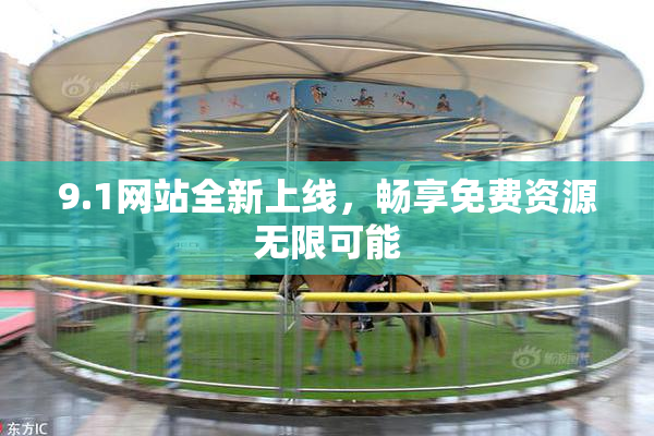 9.1网站全新上线，畅享免费资源无限可能