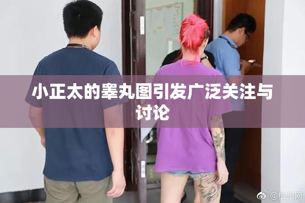 小正太的睾丸图引发广泛关注与讨论