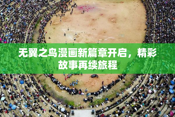 无翼之鸟漫画新篇章开启，精彩故事再续旅程
