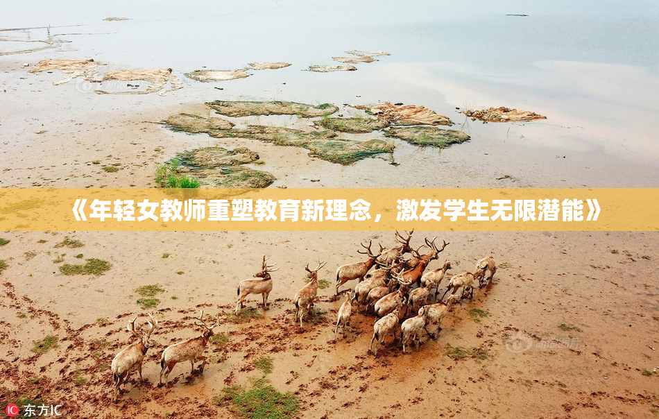 《年轻女教师重塑教育新理念，激发学生无限潜能》