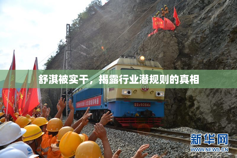 舒淇被实干，揭露行业潜规则的真相