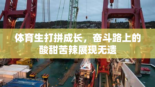 体育生打拼成长，奋斗路上的酸甜苦辣展现无遗