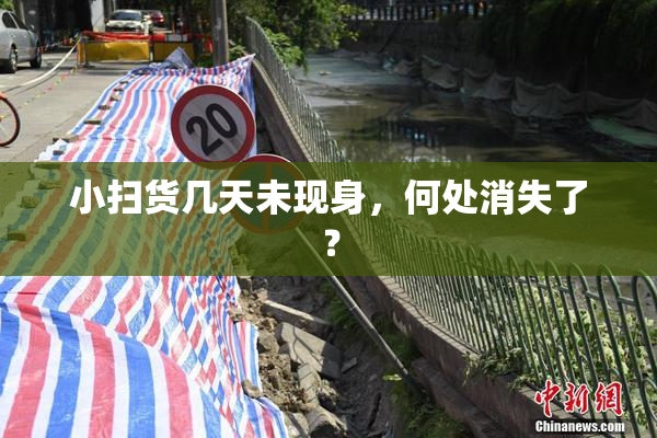 小扫货几天未现身，何处消失了？