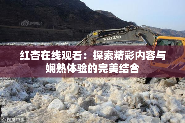 红杏在线观看：探索精彩内容与娴熟体验的完美结合