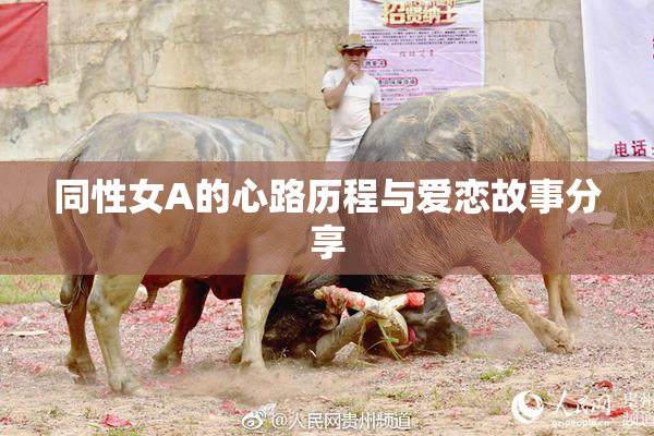 同性女A的心路历程与爱恋故事分享