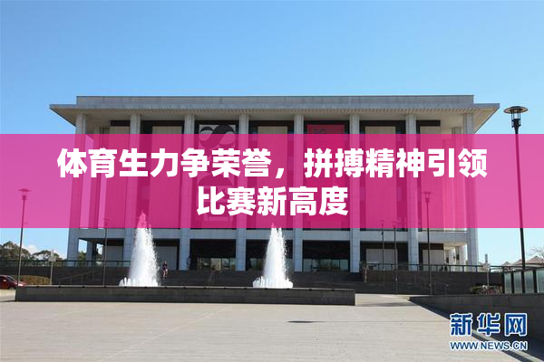 体育生力争荣誉，拼搏精神引领比赛新高度