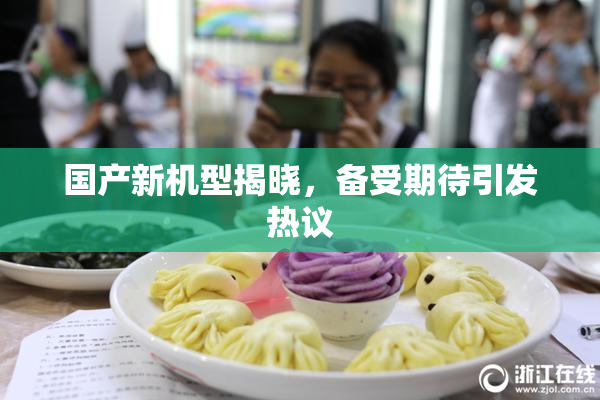 国产新机型揭晓，备受期待引发热议
