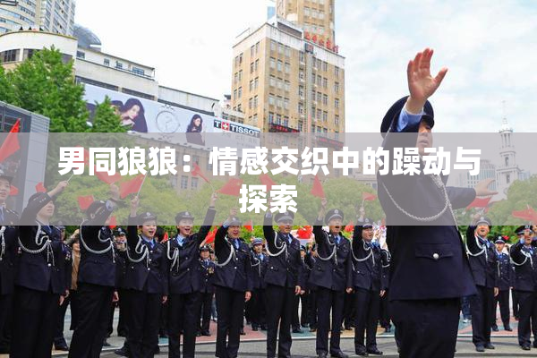 男同狼狼：情感交织中的躁动与探索