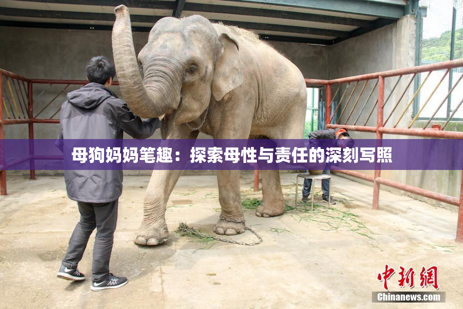 母狗妈妈笔趣：探索母性与责任的深刻写照