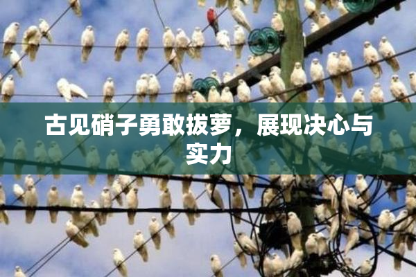 古见硝子勇敢拔萝，展现决心与实力