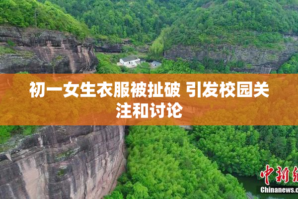 初一女生衣服被扯破 引发校园关注和讨论