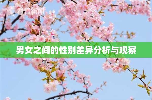 男女之间的性别差异分析与观察