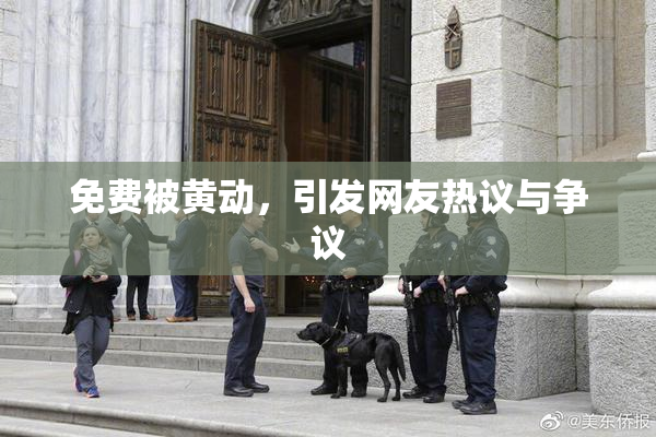 免费被黄动，引发网友热议与争议