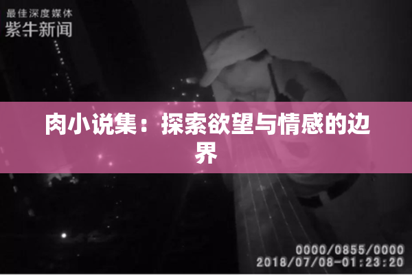 肉小说集：探索欲望与情感的边界