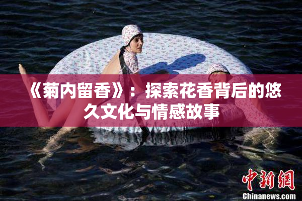 《菊内留香》：探索花香背后的悠久文化与情感故事