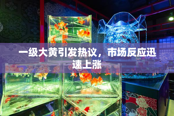 一级大黄引发热议，市场反应迅速上涨