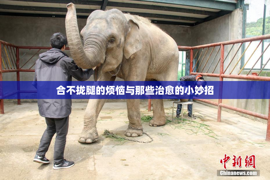 合不拢腿的烦恼与那些治愈的小妙招