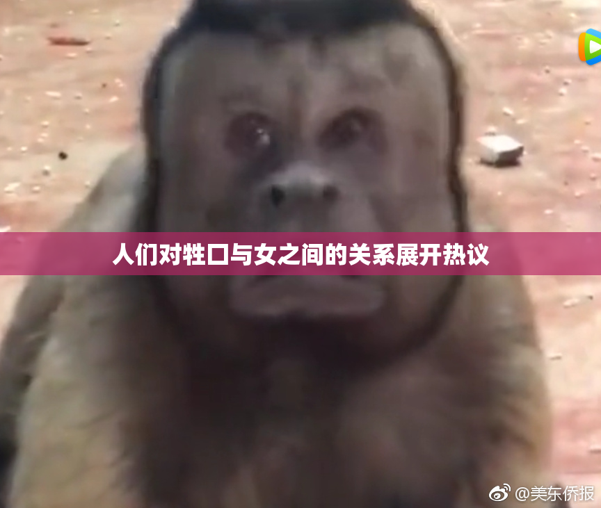 人们对牲囗与女之间的关系展开热议